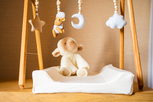 Premium Baby Changing Pad with Washable Covers